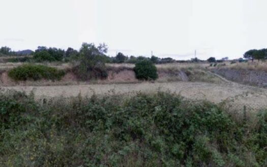 Suelo Industrial de venta en Vallbona de L’Anoia de 66.323 m²