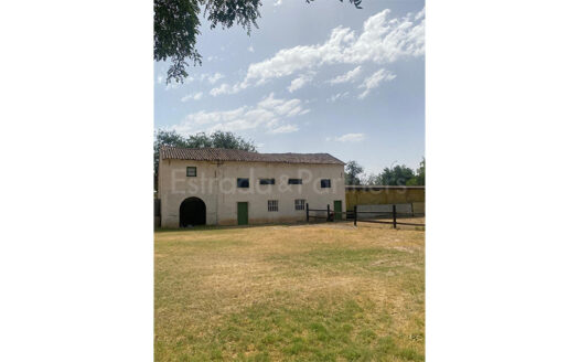 Parcela en venta en Aranjuez de 17.000m²