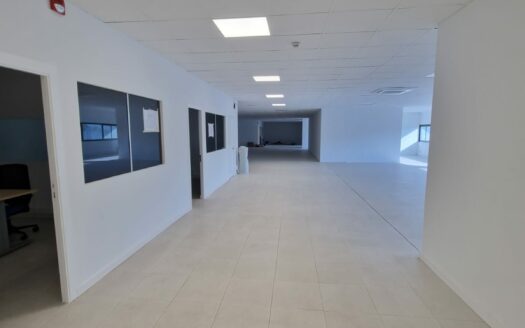 Nave logistica de alquiler en Sant Esteve de Sesrovires de 2.405 m²